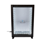 Infinity Mirror Model